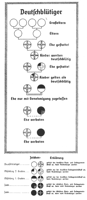 Схема, показывающая принадлежность к «германской крови» и запрещённые браки по «Закону о защите крови и чести»